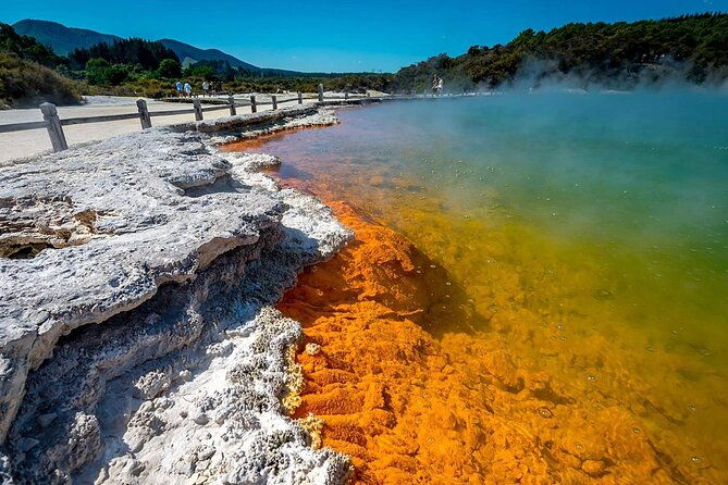 Wai-O-Tapu to Redwoods and Secret Spot Private Tour from Auckland - FAQ