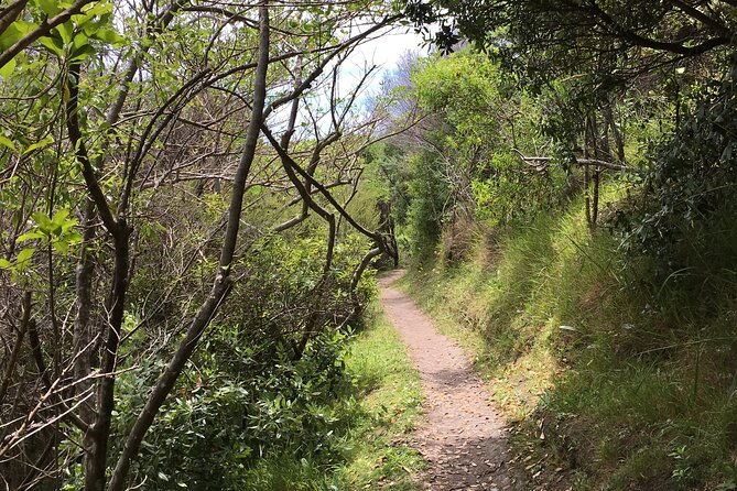 Waiheke Island Private Double Headland Walk - Who Will Love This Experience?