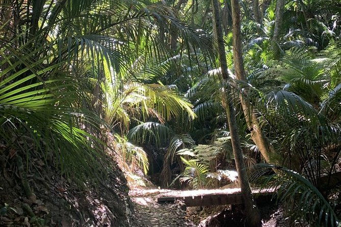 Waiheke Island Private Guided Te Ara Hura Walk - The Sum Up