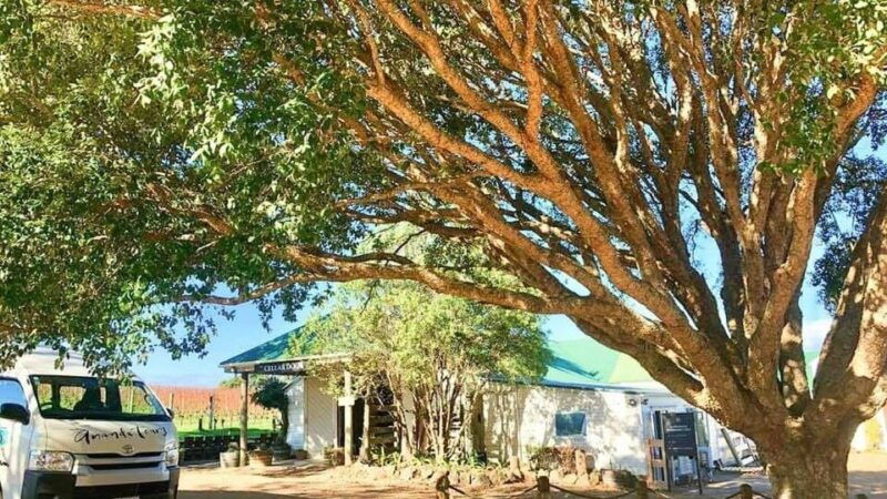 waiheke-island-the-essence-of-waiheke-wine-tour