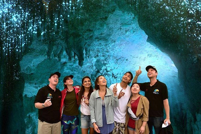 Waitomo Caves & Hobbiton Small Group Tour from Auckland - The Experience for Different Travelers