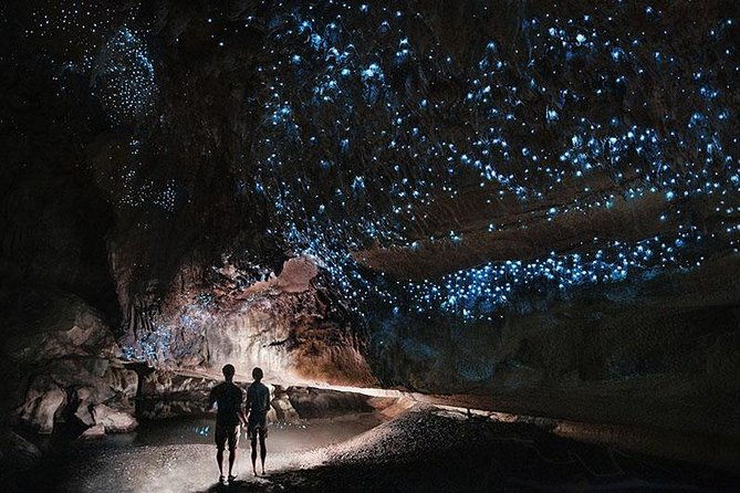Waitomo Caves Private Tour from Auckland - What Are the Limitations?