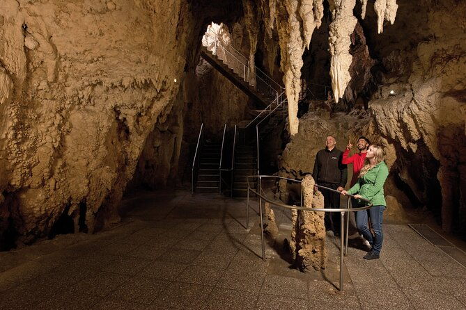 Waitomo Glowworm Cave Experience - Small Group Tour from Auckland - Who Should Book This Tour?