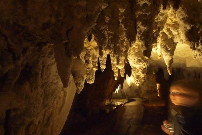 Waitomo Glowworm Caves In a Private Small Group Tour-Auckland. - Who Might Want to Consider Other Options?