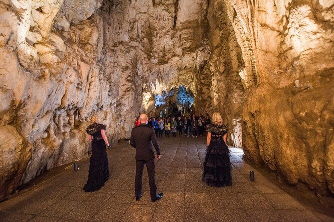 Waitomo Glowworm Caves - Private Tour From Auckland - Final Thoughts: Who Should Consider This Tour?