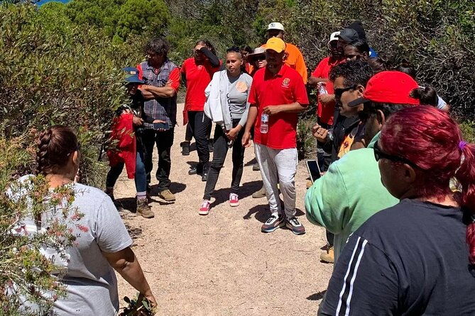 Walk on Country at Taananeditj (Rotary Lookout) - The Role of the Guides