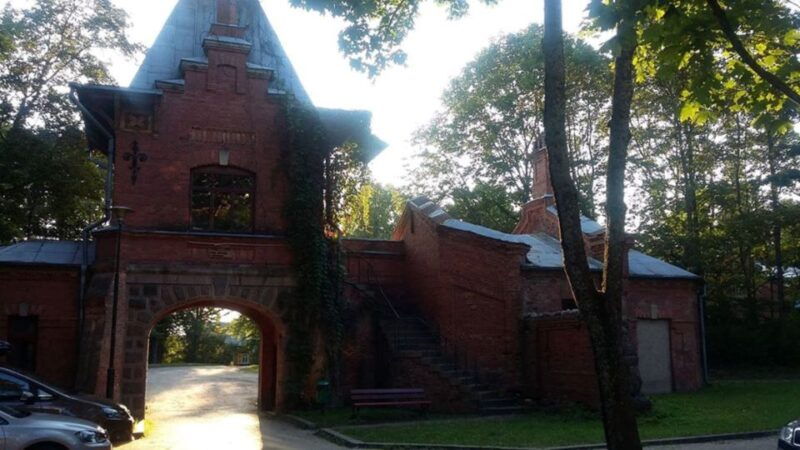 warsaw-bialowieza-national-park-and-european-bison-tour