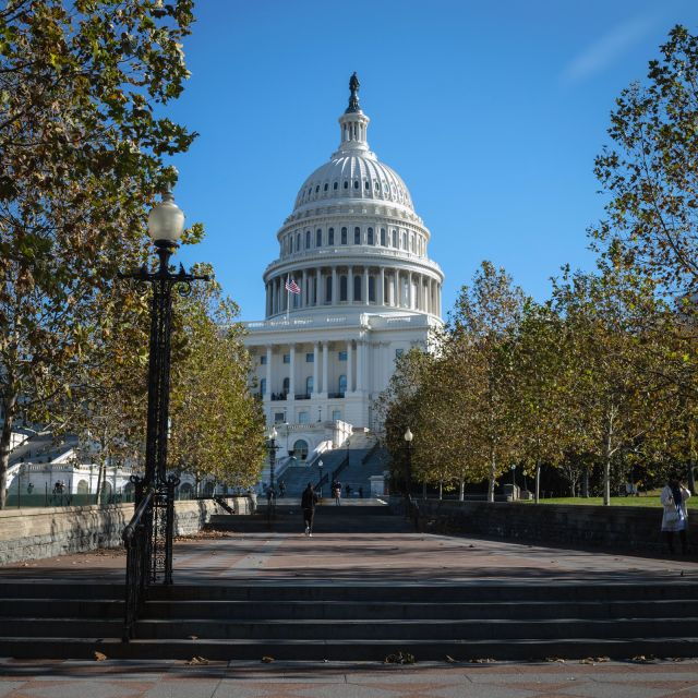 washington-cherry-blossom-tour
