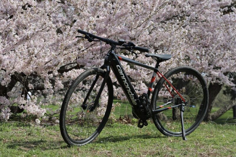washington-dc-cherry-blossom-festival-tour-by-bike
