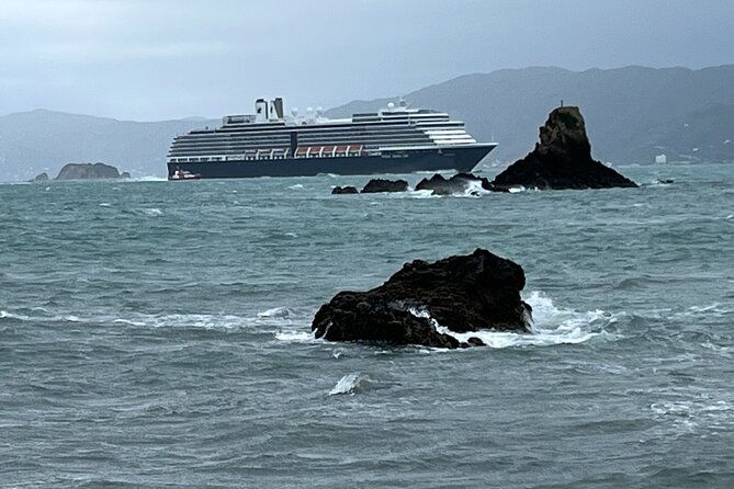 Wellington City and Sea: Private Tour in Electric Tesla SUV - Who Is This Tour For?