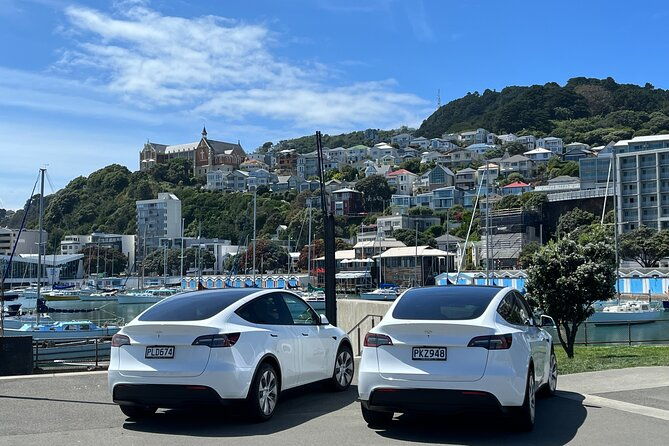 Wellington Full Day Private Tour in Electric Tesla SUV - Who Will Love This Tour?  