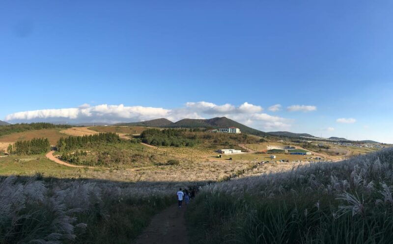 west-of-jeju-island-bus-tour-from-seogwipo-city-jeju-island