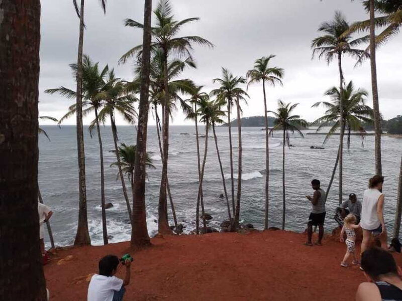 whale-watching-day-tour-to-mirissa