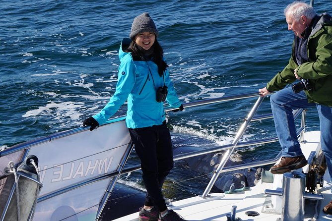 Whale Watching Dunsborough - FAQs  