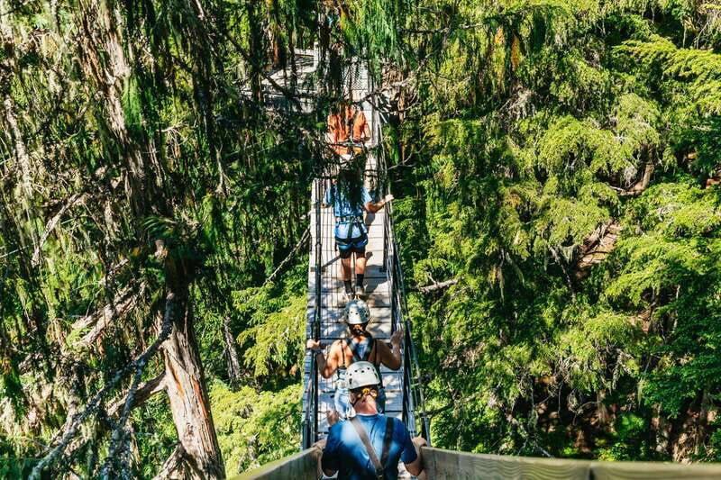 whistler-ziplining-experience