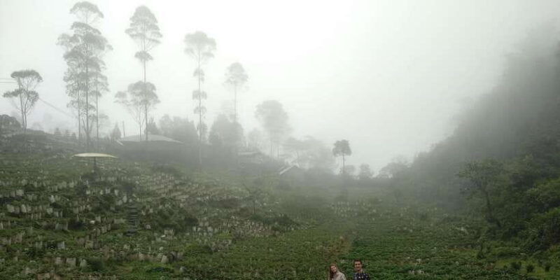 white-crater-tea-plantation-tour-guide-bandung