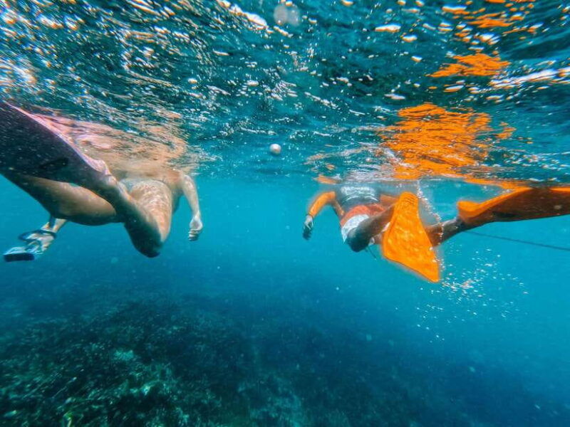wildlife-sri-lanka-10-day-all-inclusive-tour