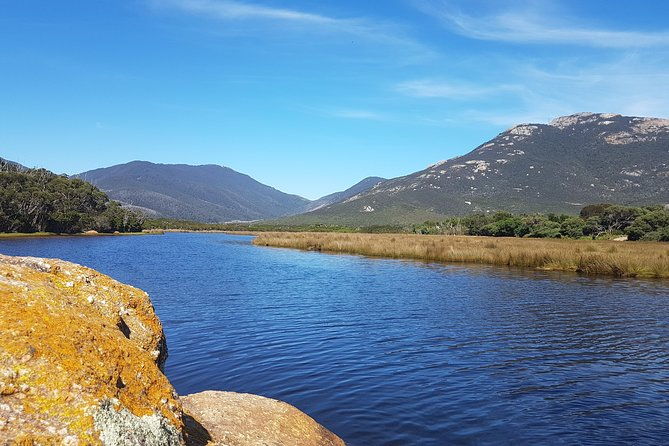 Wilson's Promontory & Phillip Island - 'Prom & Penguins' Tour - The Verdict: Is it Worth It?