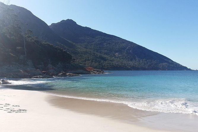 Wineglass Bay Beach Hike Active day tour - Who Will Love This Tour?