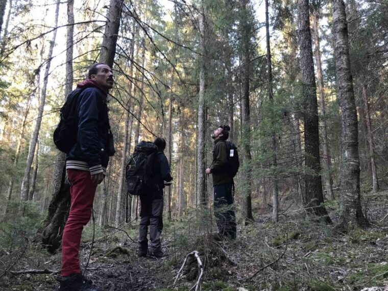 wolf-and-wildlife-tracking-in-sweden-2