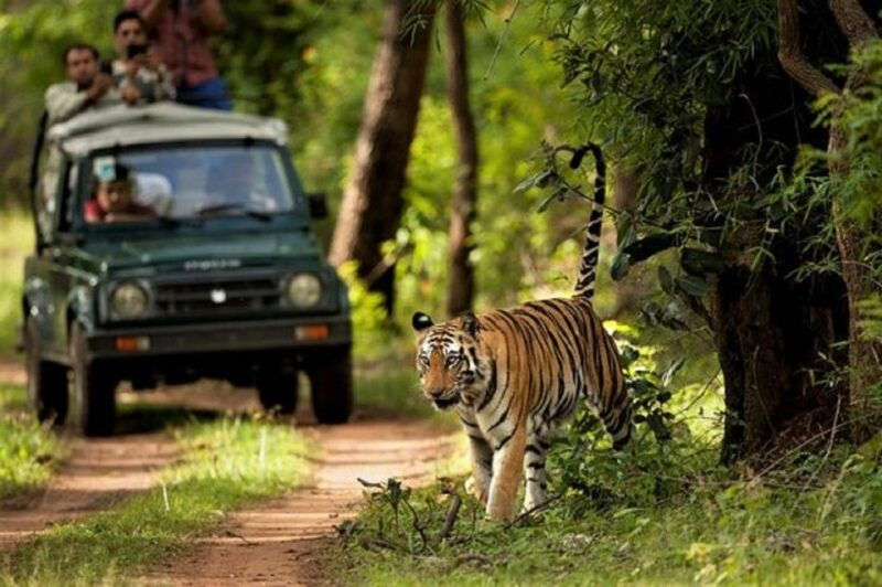 wonders-of-wildlife-4-day-chitwan-national-park-tour