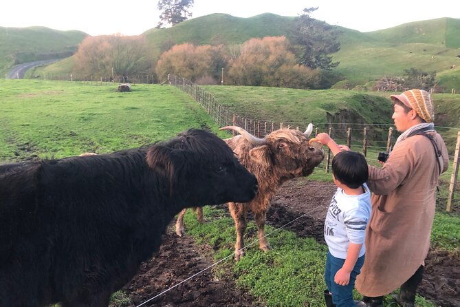 Wool Sheep Farm Experience with Handmade Wool Hat in New Zealand - Who Will Love This Tour?