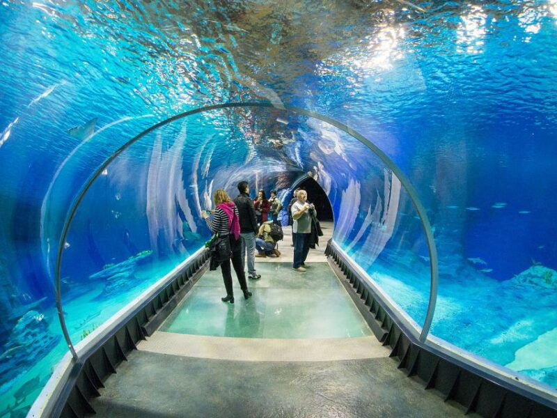 wroclaw-wroclaw-zoo-entry-ticket-with-private-transfer