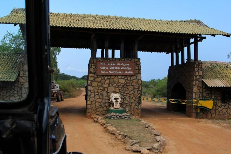 yala-national-park-leopard-safari-day-tour-from-colombo