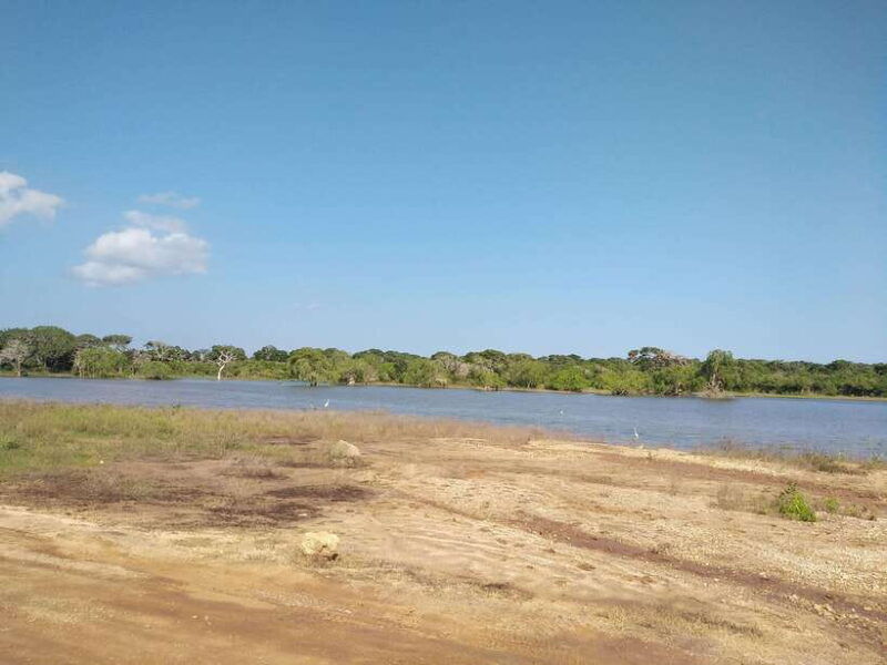 yala-national-park-safari-tour-from-colombo-galle