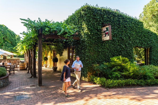 Yalumba Nursery & Grenache Discovery Tour + Platter Lunch - Authenticity and Atmosphere