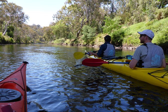 Yarra River Kayak Hire - Final Thoughts