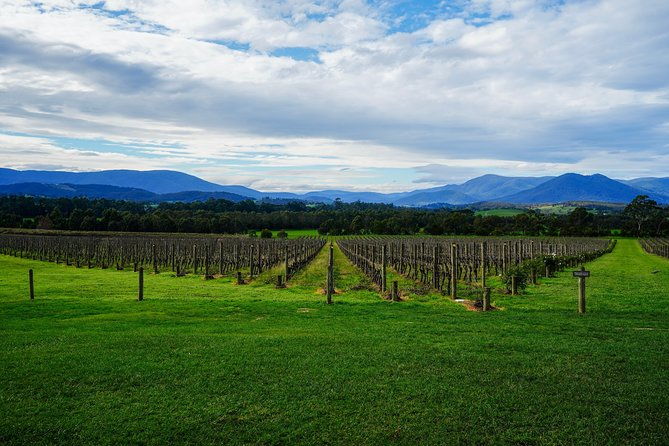 Yarra Valley Private Car Winery Tour And Chocolate.1-7 Passengers One Car Price - FAQ