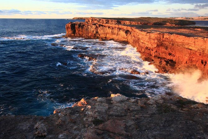 Yorke Peninsula 3-Day Small Group 4WD Eco Tour from Adelaide - Final Thoughts  