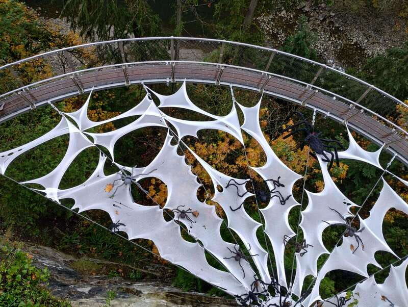 4tourcapilano-suspension-br-car-small-grouplakedamhacher
