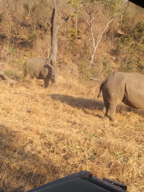 5-days-4-nights-safari-tour-in-madikwe-and-pilanersbeg