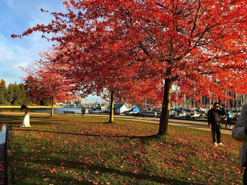 5-days-in-vancouver-multiactivity-adventure-tour