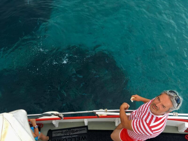 55h-plavnik-island-swim-snorkel-with-capt-bobo-public
