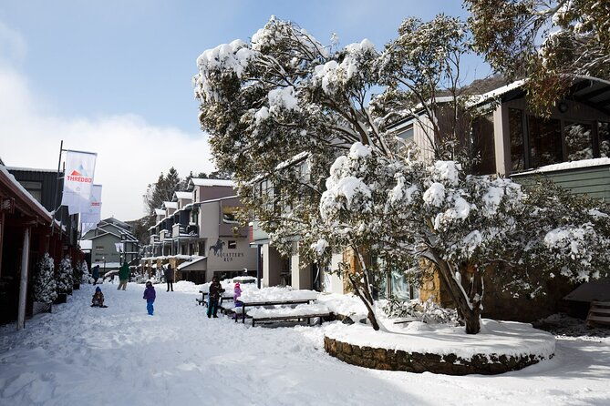 1 Day Thredbo Snow Tour From Sydney - The Sum Up