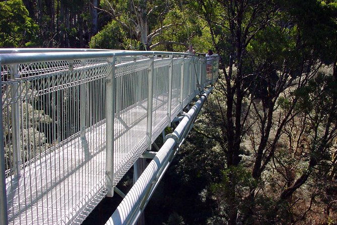 12 Apostles and Otway Fly Zipline Day Trip from Melbourne - FAQ