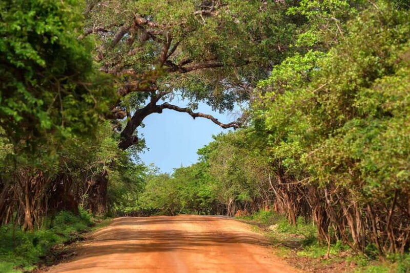 2-day-ella-and-yala-safari-tour-tour-from-colombo