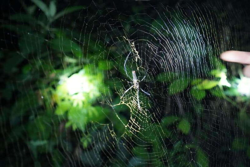 2-day-ninh-binh-trang-an-cuc-phuong-national-park-tour
