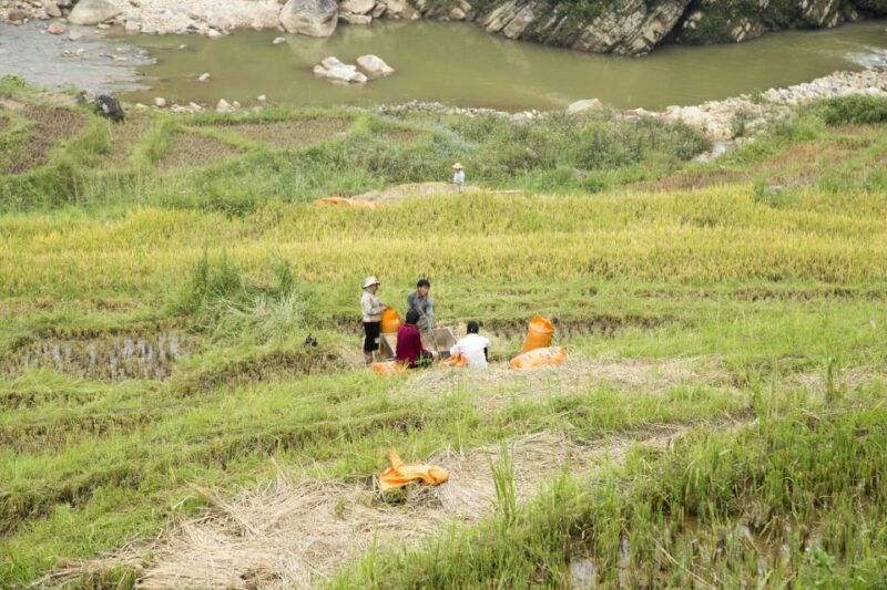 2-day-sapa-adventure-with-long-treks-overnight-in-hotel