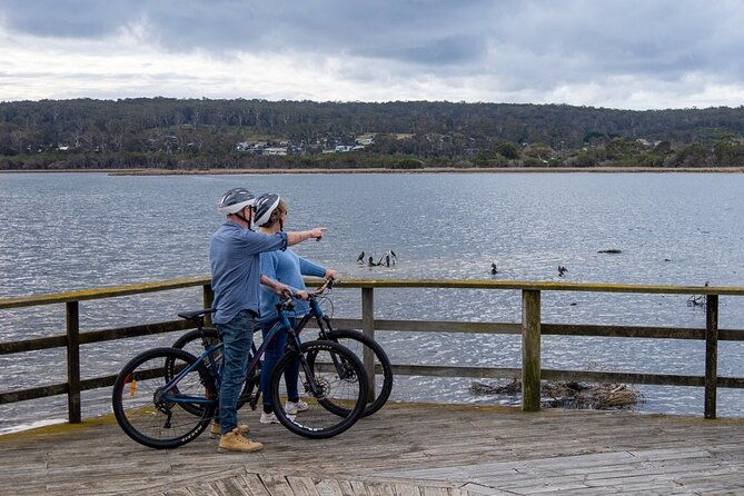 2-Hour Eden Guided E-Bike Tour Around Lake Curalo - Cost & Value