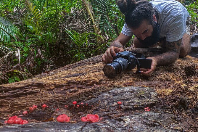 2-Hour Mushroom Photography Activity in Cairns Botanic Gardens - The Balance of Value and Experience  