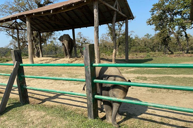 2 Nights 3 Days Chitwan Jungle Safari Tour - FAQ