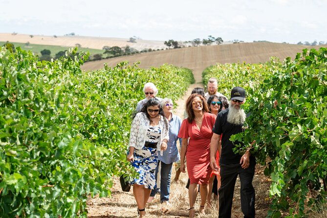 2h Wine Experience, Vineyard walk, 6 wines, charcuterie board - The Sum Up