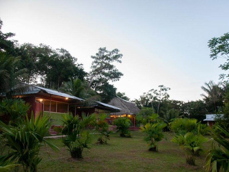 3-day-all-inclusive-guided-jungle-tour-from-iquitos-2