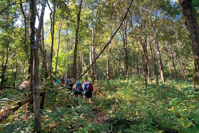 3-Day Chiang Dao Mountain Trek - Practicalities and Tips