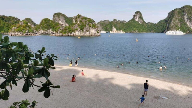 3-day-ha-long-lan-ha-bay-on-5-star-cruise-cavesislandmeals