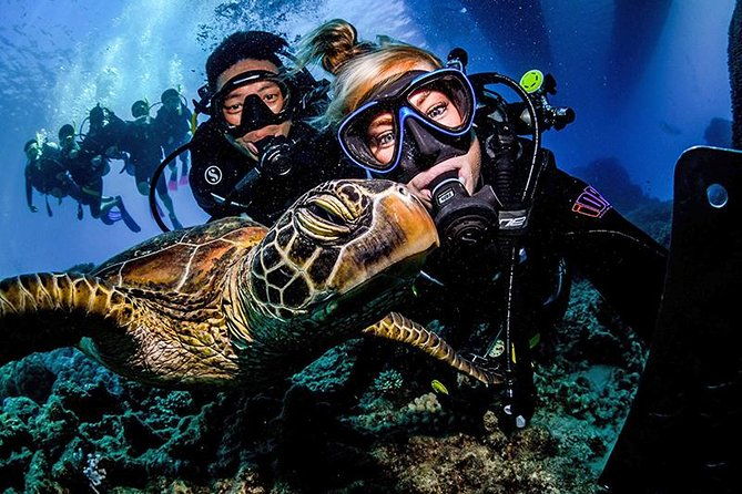 3 Day Reef Cruise, 4WD Rainforest and Outback Chillagoe Package - Final Thoughts